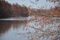 Spring landscape with alder aiglets branch against river.High water.Close up