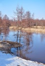 Spring landscape with an alder tree with red aiglets,river and remnants of snow on a clear sunny day. Royalty Free Stock Photo