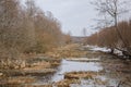 Spring landscape, all brown gray, without leaves. Early Spring Royalty Free Stock Photo