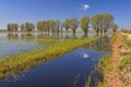 Spring landscape in Biebrzanski National Park, Poland.