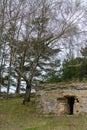 Spring landscape landscape with birch and abandoned, ancient army fort Royalty Free Stock Photo