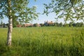 Spring landscape with birch trees and view to Schlehdorf cloister. wetlands bavaria Royalty Free Stock Photo