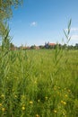 Spring landscape with birch trees and view to Schlehdorf cloister. wetlands bavaria Royalty Free Stock Photo