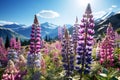 Spring landscape of blooming purple and pink lupines - AI Generated Royalty Free Stock Photo