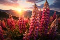 Spring landscape of blooming purple and pink lupines in a meadow - AI Generated