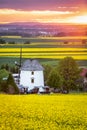 Spring landscape with blooming rapeseed fields, Poland Royalty Free Stock Photo