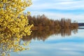 Spring landscape with a blossoming tree and the river Royalty Free Stock Photo