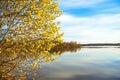 Spring landscape with a blossoming tree and the river Royalty Free Stock Photo