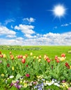 Spring landscape with blue sunny sky