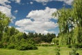 Spring landscape in a botany garden with sky