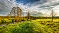 Spring landscape on bright sunny day. Scenic lawn by the river. Spring green meadow on shore of river. Royalty Free Stock Photo