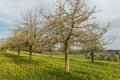 Spring landscape in the canton of Thurgau, Switzerland Royalty Free Stock Photo