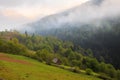 Spring landscape in the Carpathian mountains Royalty Free Stock Photo