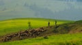 Spring landscape in the Carpathian mountains with Royalty Free Stock Photo