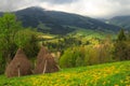 Spring landscape in the Carpathian mountains Royalty Free Stock Photo