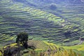 Spring landscape China