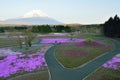 Spring Landscape of colorful Shibazakura flower fields with Mount Fuji in Japan