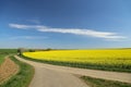 Spring landscape. Cultivated colorful raps field in Germany