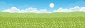 Spring landscape of daisy farm field with fluffy cloud, Sun on Blue sky. Wide panorama view on Summer with wild flower on green Royalty Free Stock Photo