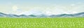 Spring landscape of daisy farm field and mountain with fluffy cloud, sun and blue sky. Wide panorama view on spring time with wild Royalty Free Stock Photo