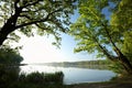 spring landscape at dawn oak trees covered with fresh leaves the edge of lake on a sunny morning against blue sky right side photo Royalty Free Stock Photo