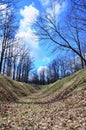 Spring landscape with a deep ravine filled with fallen leaves surrounded by a lot of trees on the edge of the forest next to the Royalty Free Stock Photo