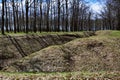 Spring landscape with a deep ravine filled with fallen leaves surrounded by a lot of trees on the edge of the forest next to the Royalty Free Stock Photo