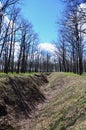 Spring landscape with a deep ravine filled with fallen leaves surrounded by a lot of trees on the edge of the forest next to the Royalty Free Stock Photo