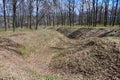 Spring landscape with a deep ravine filled with fallen leaves surrounded by a lot of trees on the edge of the forest next to the Royalty Free Stock Photo