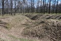 Spring landscape with a deep ravine filled with fallen leaves surrounded by a lot of trees on the edge of the forest next to the Royalty Free Stock Photo