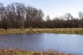 Spring landscape in Denmark. Lake with ducks on the background of trees. Royalty Free Stock Photo