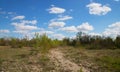 spring landscape dirt road in the forest against the blue sky with clouds Royalty Free Stock Photo