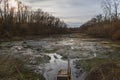 Spring landscape. Drained pond. There are fallen trees on the banks