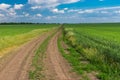 Spring landscape with an earth road among agricultural fields near Dnipro city in central Ukraine Royalty Free Stock Photo