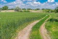 Spring landscape with an earth road at the edge of agricultural fields Royalty Free Stock Photo