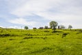Spring landscape in Falgars D En Bas, La Garrotxa, Spain Royalty Free Stock Photo