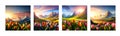 Spring landscape field tulips against backdrop mountains. Huge field colorful tulips, sky with clouds and sunset with Royalty Free Stock Photo