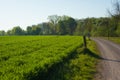 Spring landscape of fields in Germany, field road leading into the distance