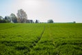 Spring landscape of fields in Germany, field road leading into the distance