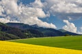 Spring landscape with fields of oilseed rape Royalty Free Stock Photo