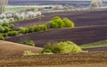 Spring landscape with fields and trees Royalty Free Stock Photo