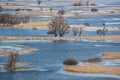 Spring landscape - flood in river valley of the Siverskyi Seversky Donets, meadows, trees, birds