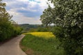 Spring landscape with flowering trees and fields Royalty Free Stock Photo