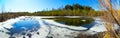Spring landscape , forest lake,panorama. Royalty Free Stock Photo