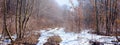 Spring landscape with forest and road in the forest during snowmelt