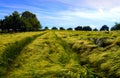 Spring landscape germany fields flowers summer sun spring landscape germany fields flowers Royalty Free Stock Photo