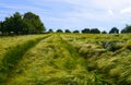 Spring landscape germany garden field flowers summ Royalty Free Stock Photo