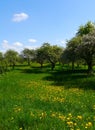 Spring landscape germany mountains fields forest Royalty Free Stock Photo