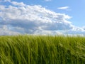 Spring landscape germany mountains fields forest