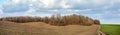 green fields on hills of winter wheat, plowed soil near forest and cloudy sky Royalty Free Stock Photo